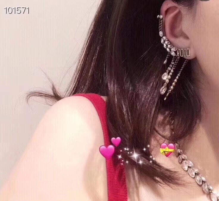 Dior Earrings Silver