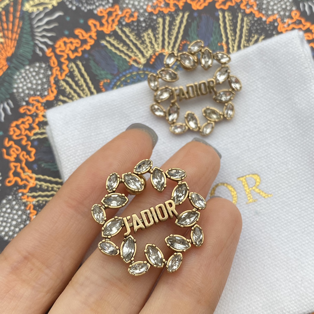 Dior Earrings Silver