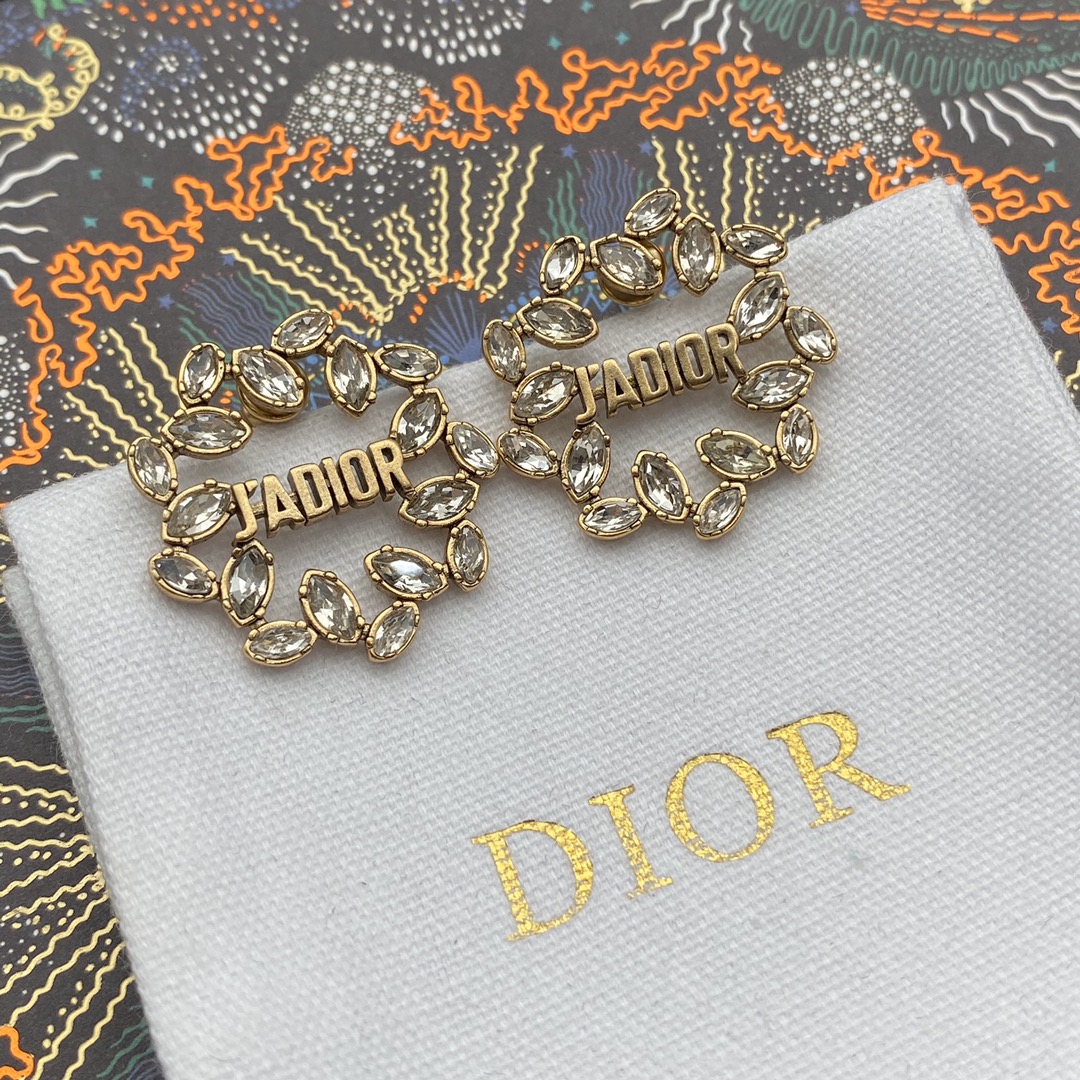 Dior Earrings Silver