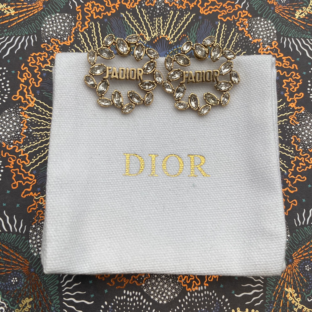 Dior Earrings Silver