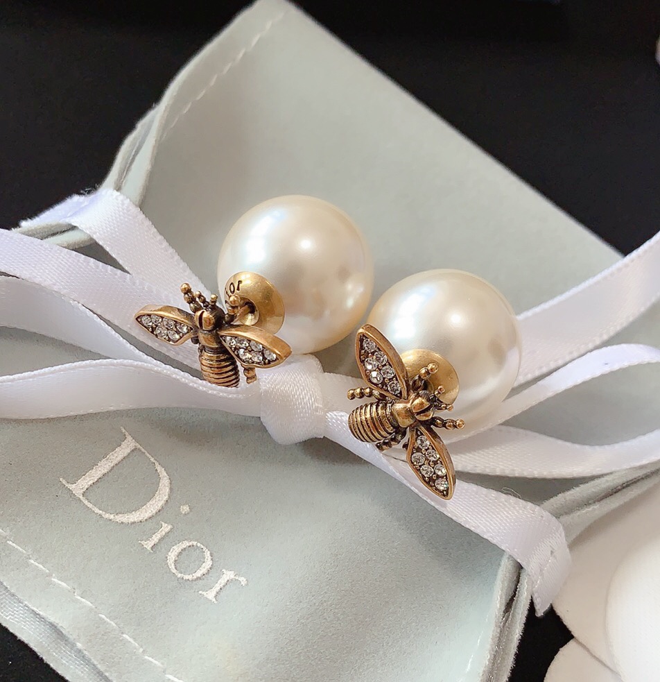 Dior Earrings Silver