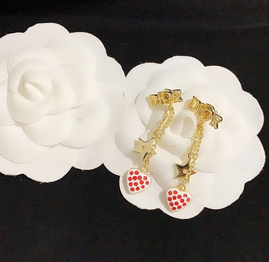 Dior Earrings Silver