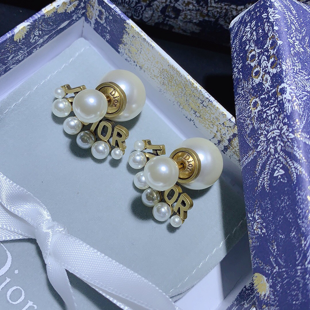 Dior Earrings Silver