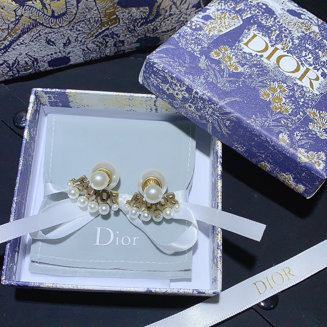 Dior Earrings Silver