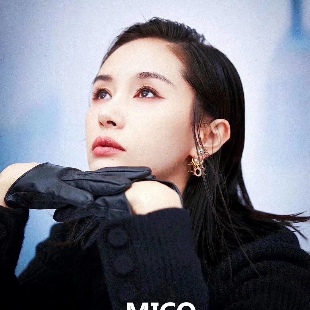 Dior Earrings Silver