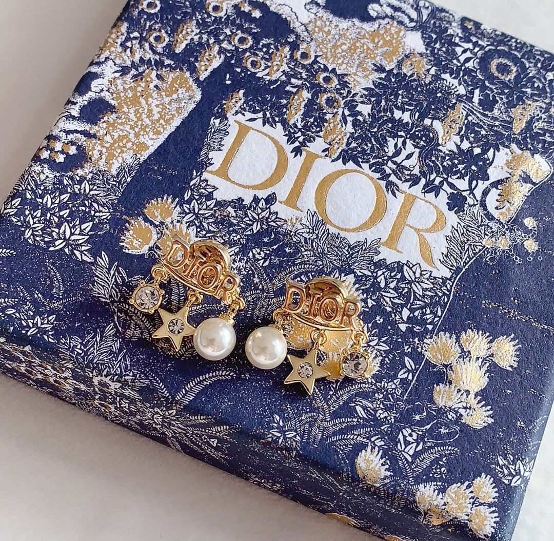 Dior Earrings Silver