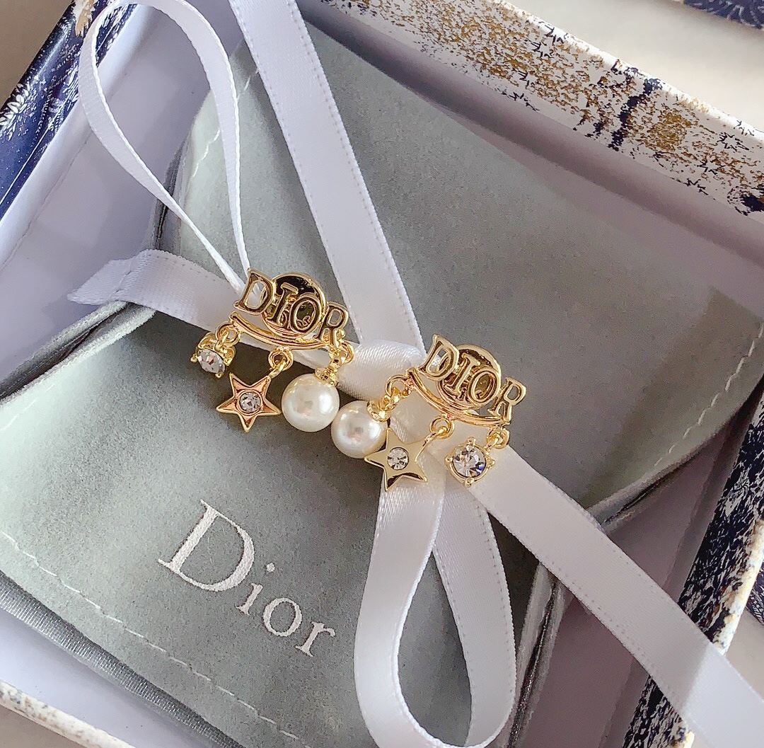Dior Earrings Silver
