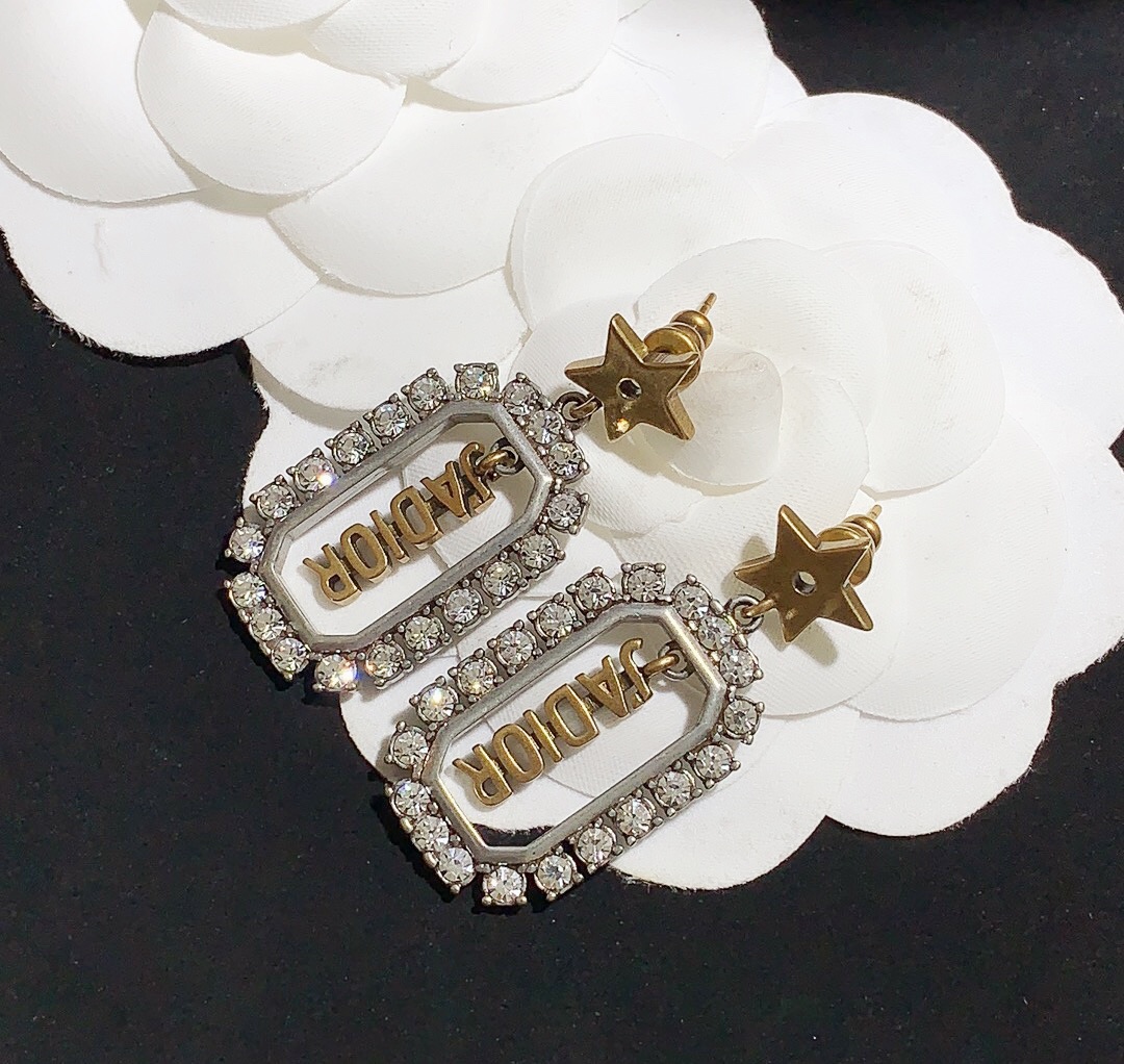 Dior Earrings Silver