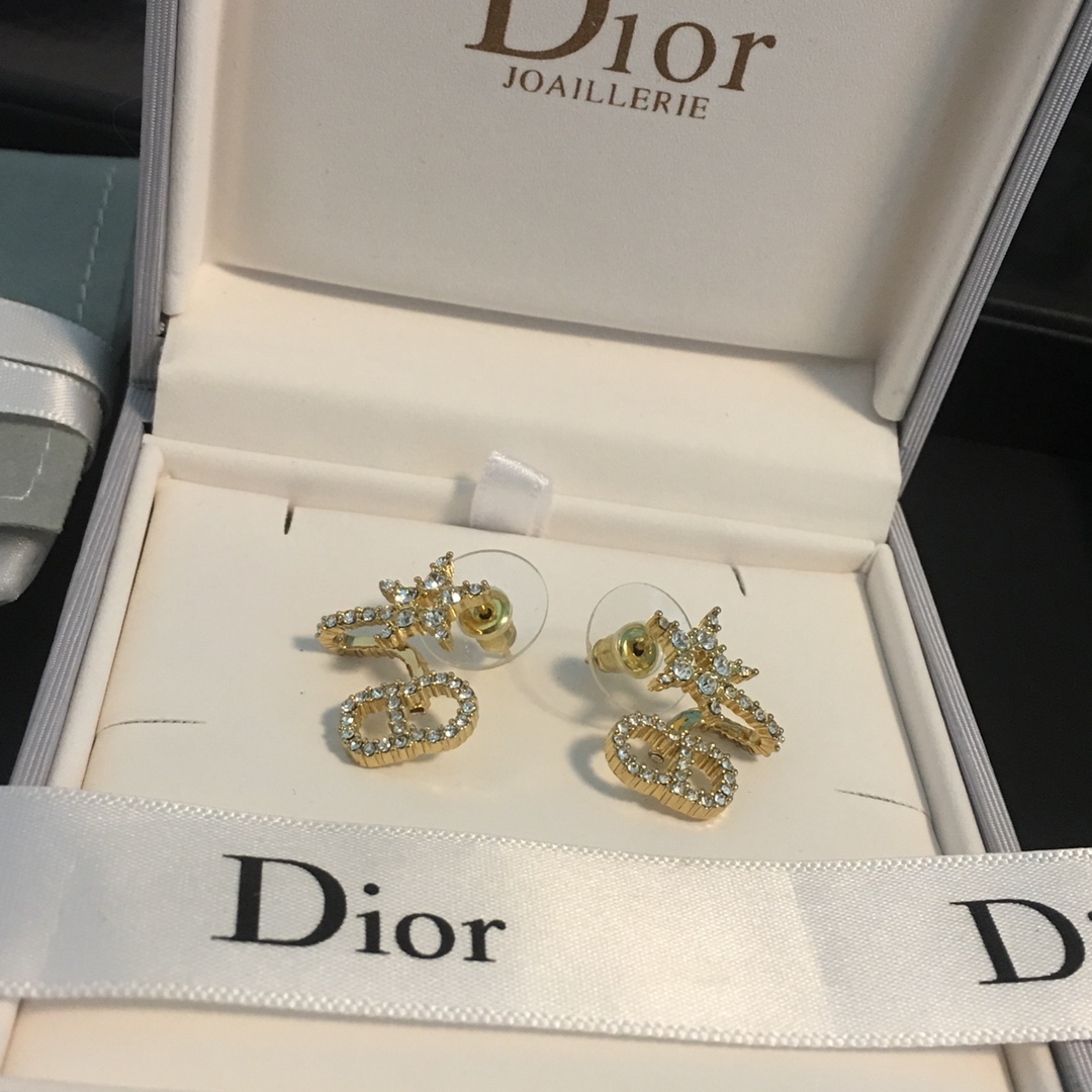 Dior Earrings Silver