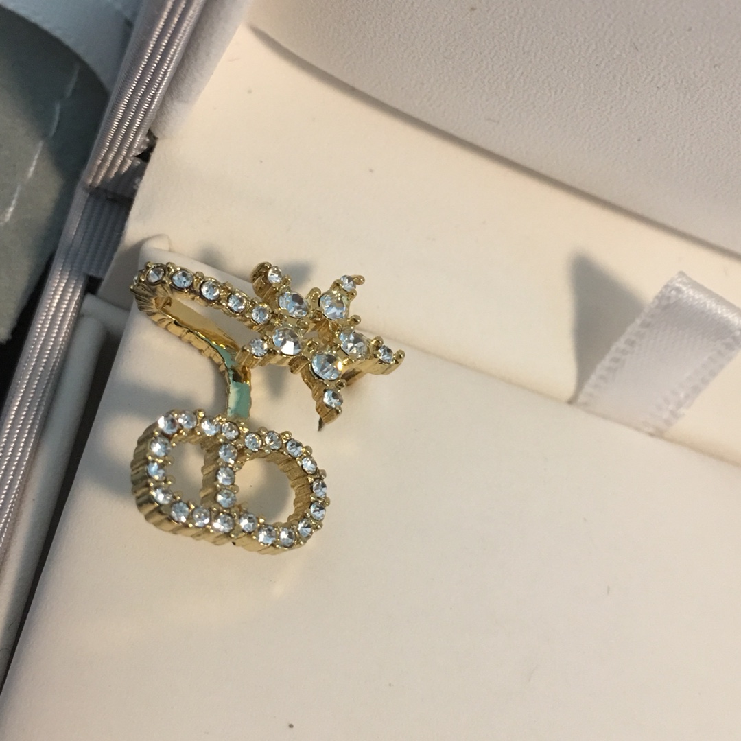 Dior Earrings Silver