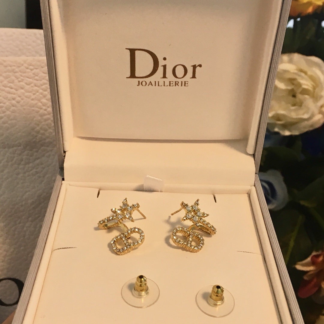 Dior Earrings Silver