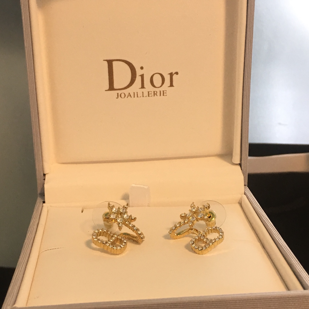 Dior Earrings Silver