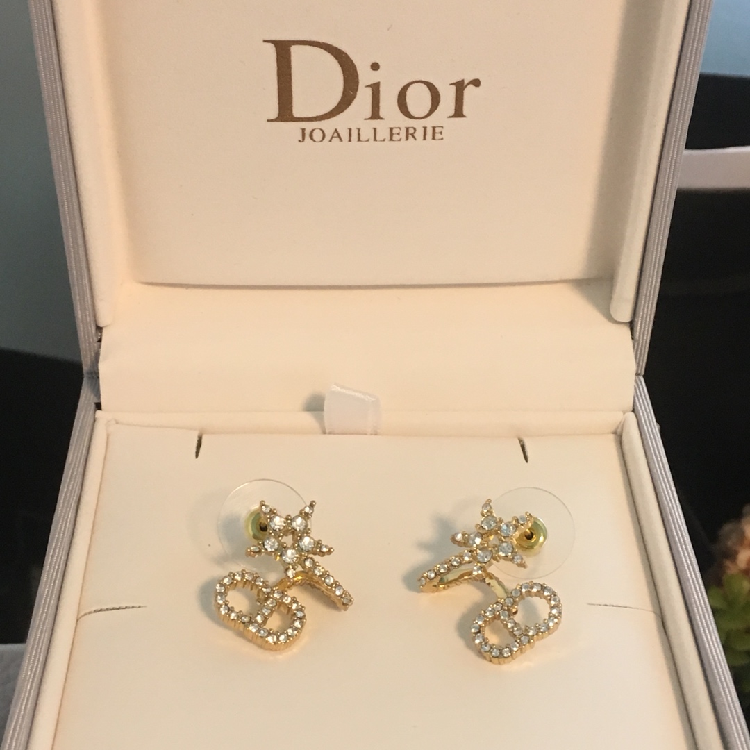 Dior Earrings Silver