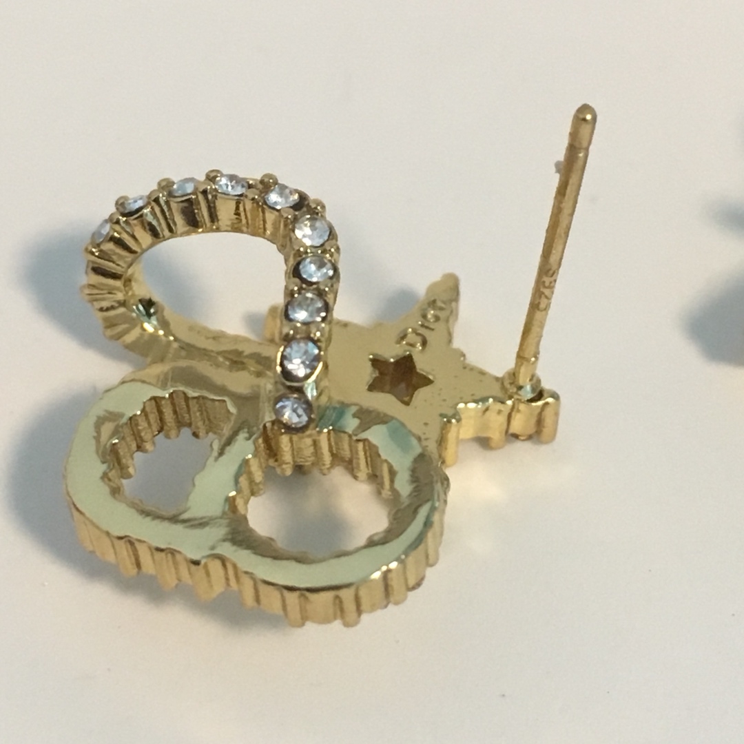 Dior Earrings Silver