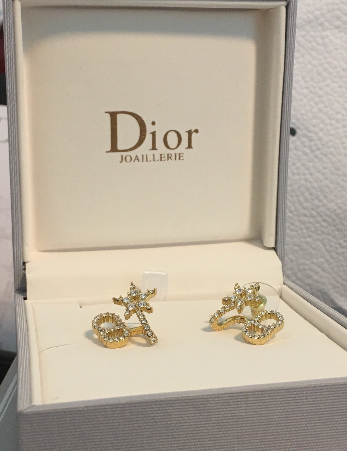 Dior Earrings Silver