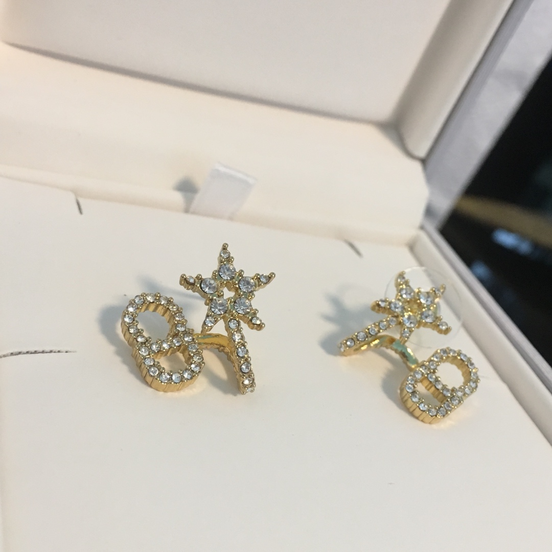 Dior Earrings Silver