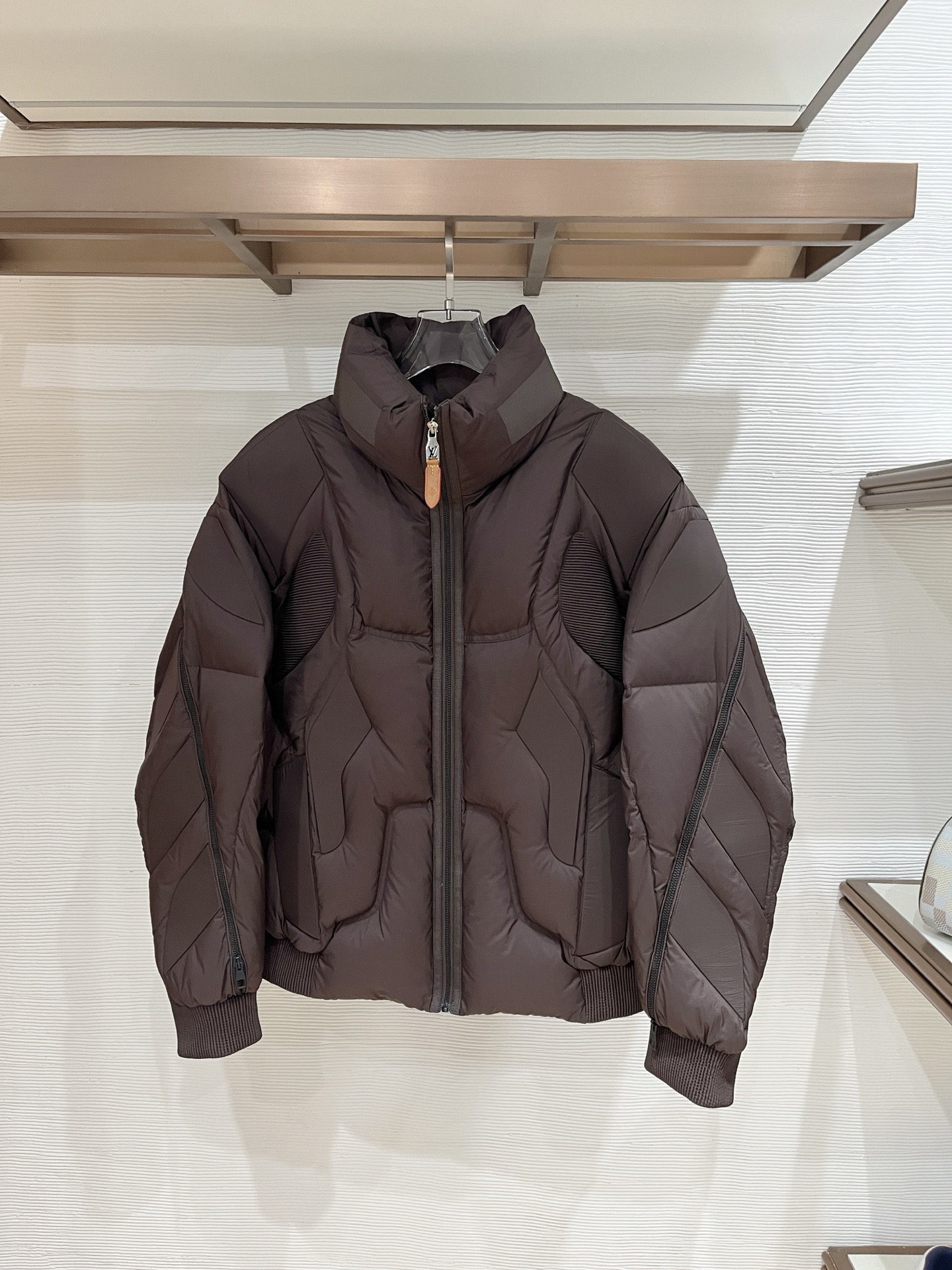 Louis Vuitton Male Down Jacket Goose Down Black S-l