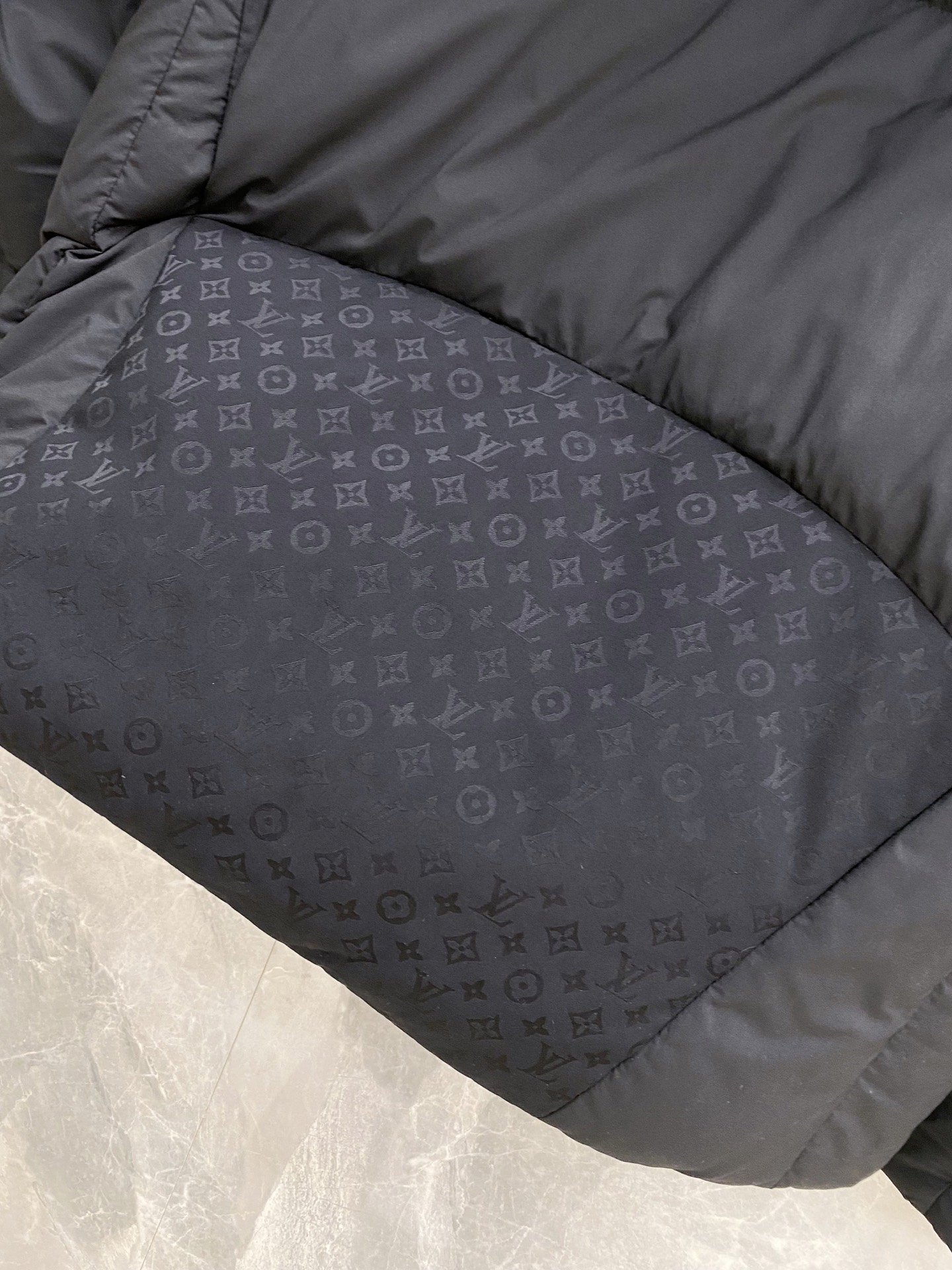 Louis Vuitton Down Jacket Goose Down Hooded S-m-l