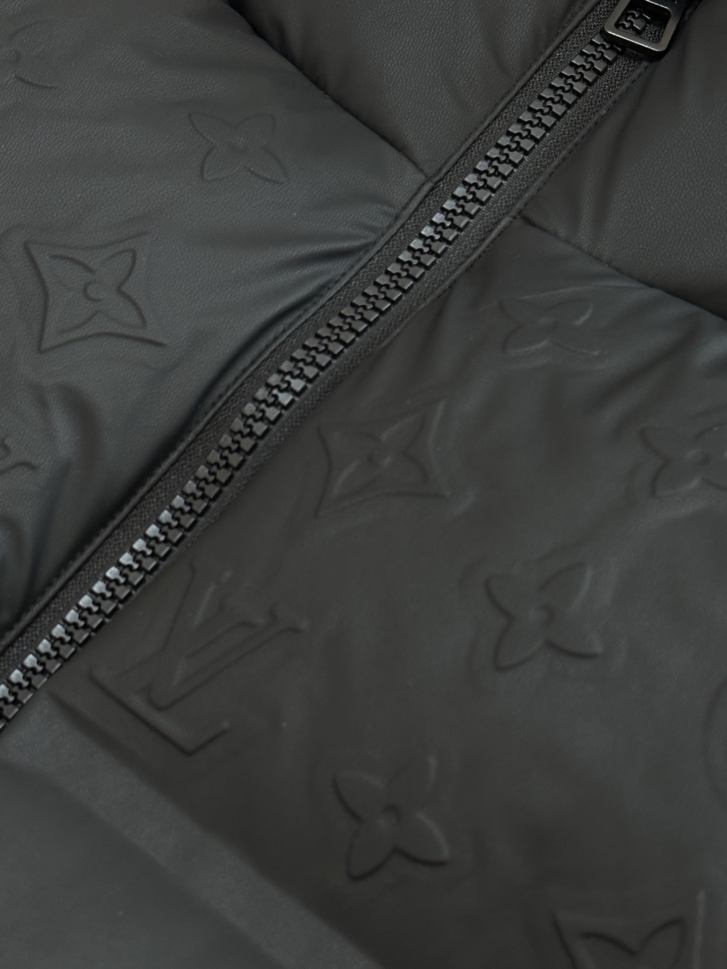 Louis Vuitton Down Jacket Goose Down S-m-l-xl