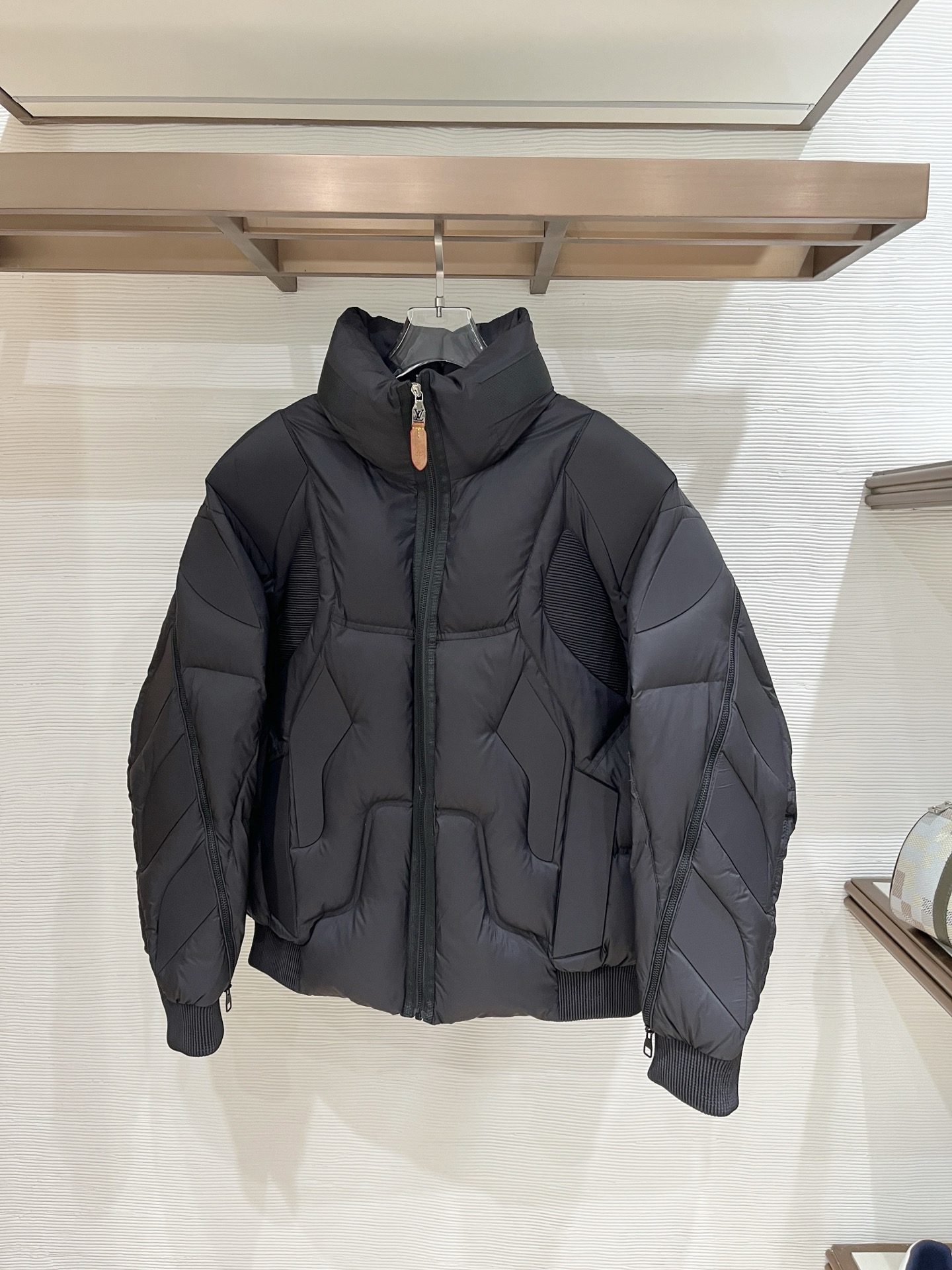 Louis Vuitton Male Down Jacket Goose Down Black S-l
