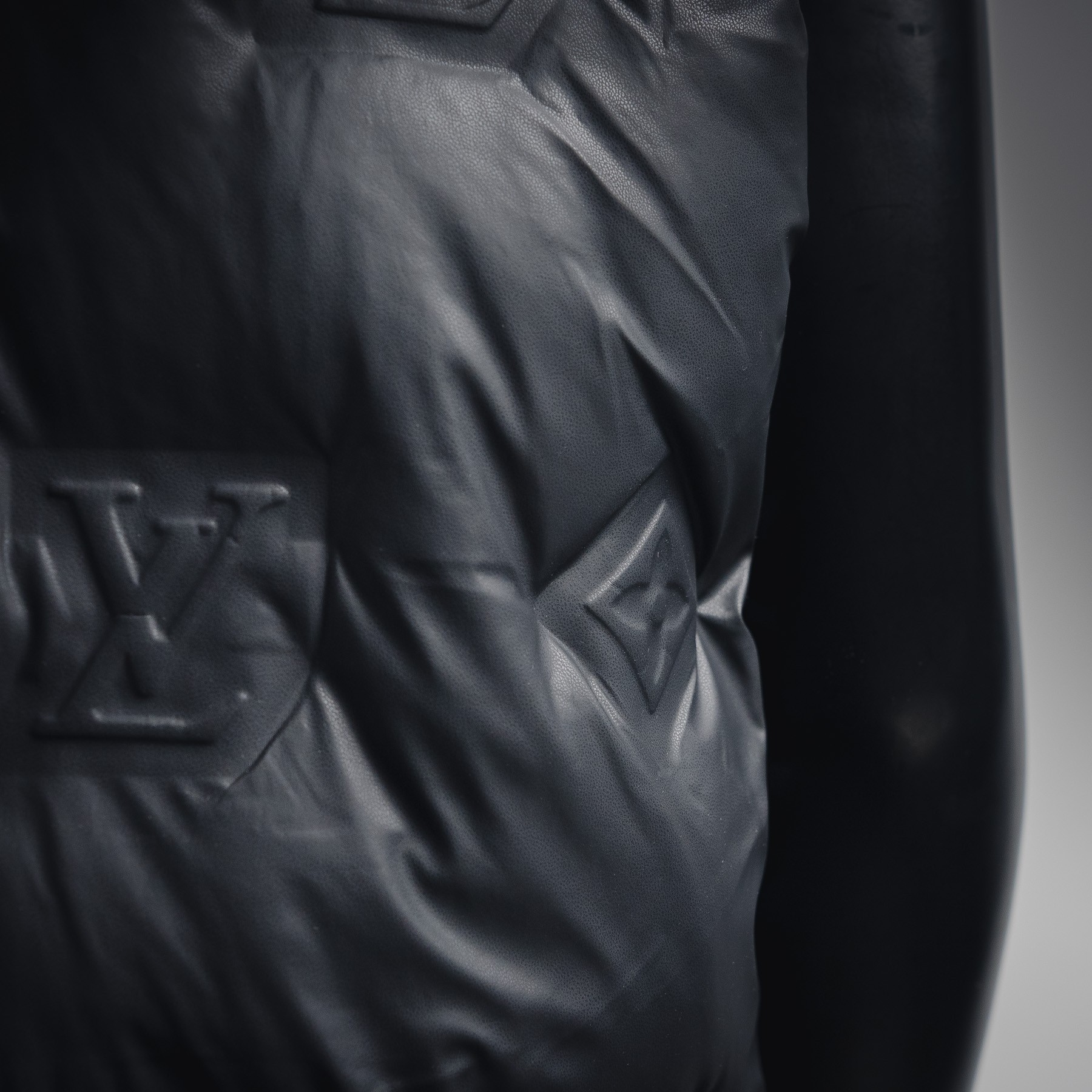 Louis Vuitton Couple Down Vest S-l