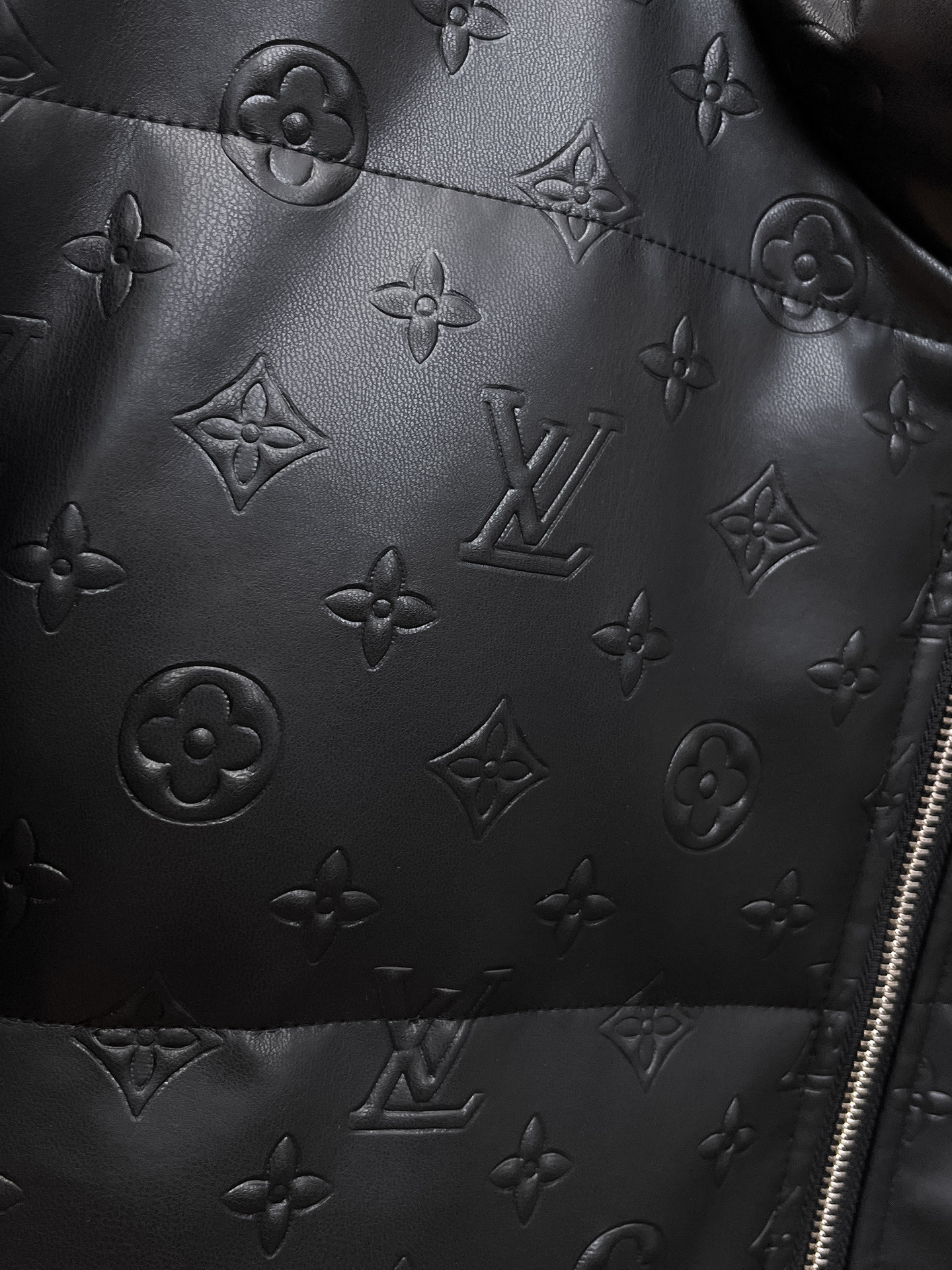 Louis Vuitton Couple Down Jacket Goose Down M-l-xl