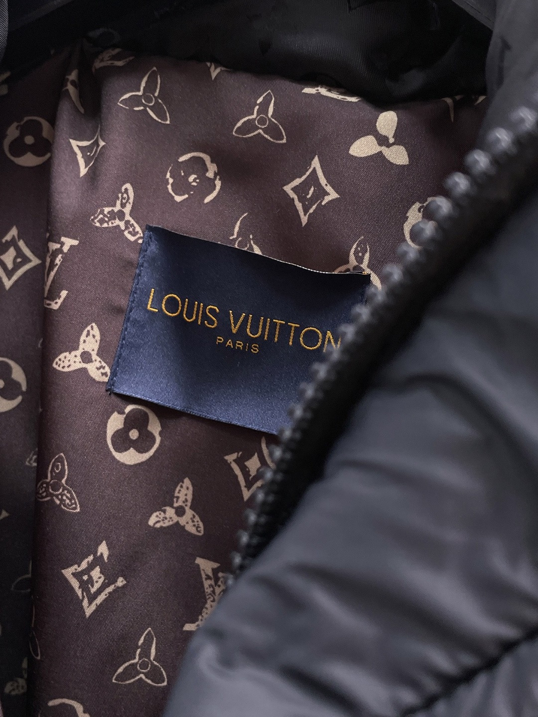 Louis Vuitton Couple Down Jacket Goose Down M-l-xl