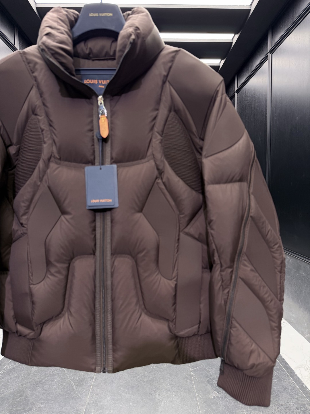 Louis Vuitton Male Down Jacket Goose Down Black S-l