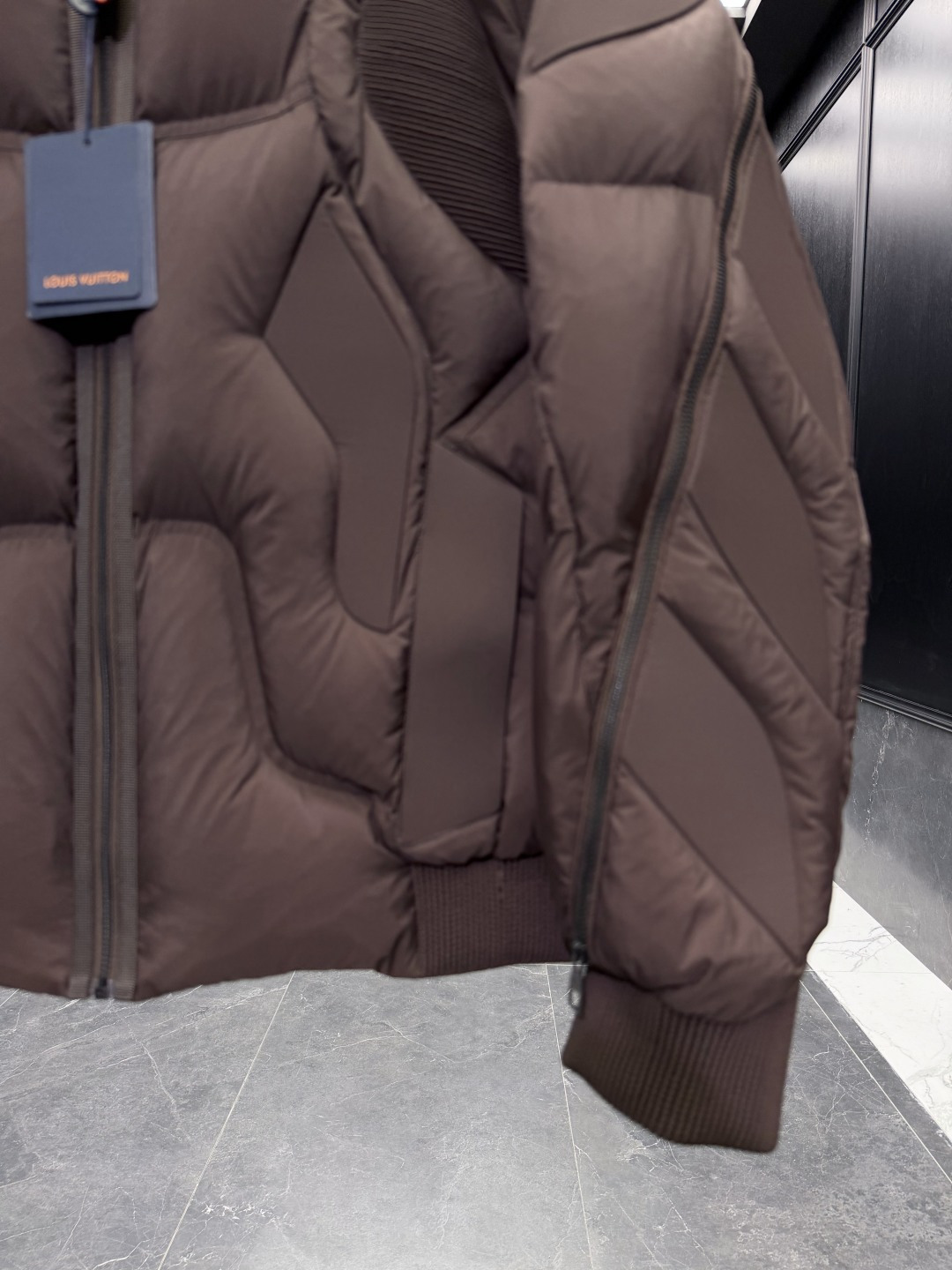 Louis Vuitton Male Down Jacket Goose Down Black S-l