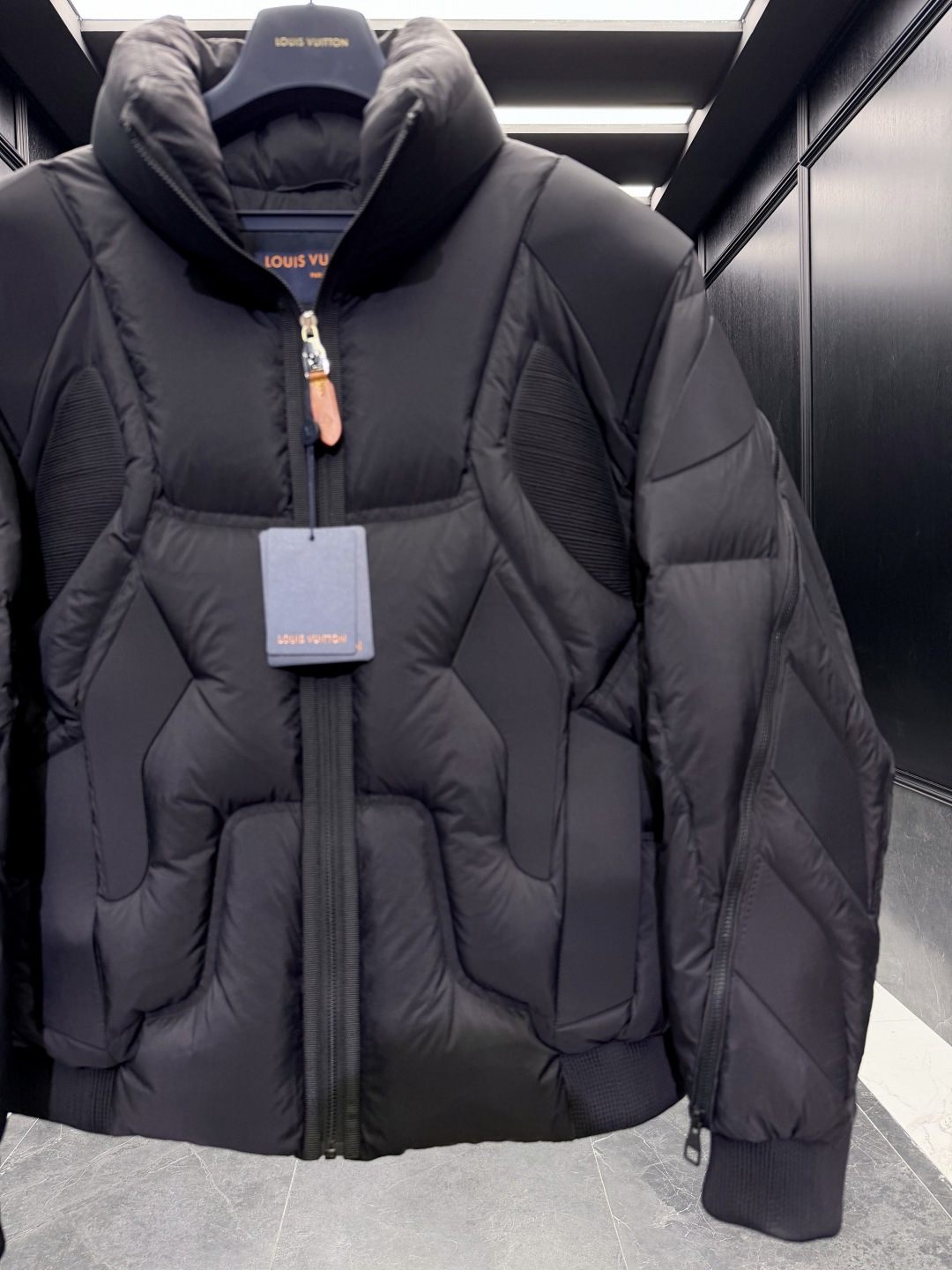 Louis Vuitton Male Down Jacket Goose Down Black S-l