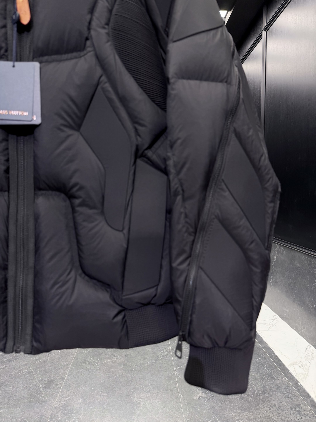Louis Vuitton Male Down Jacket Goose Down Black S-l