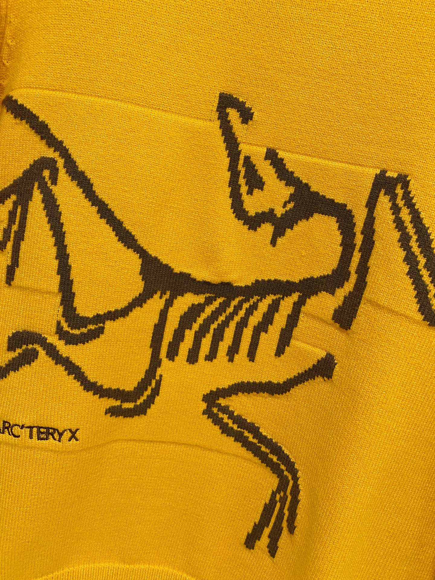 Arcteryx Basic Clothing Wool M-xl
