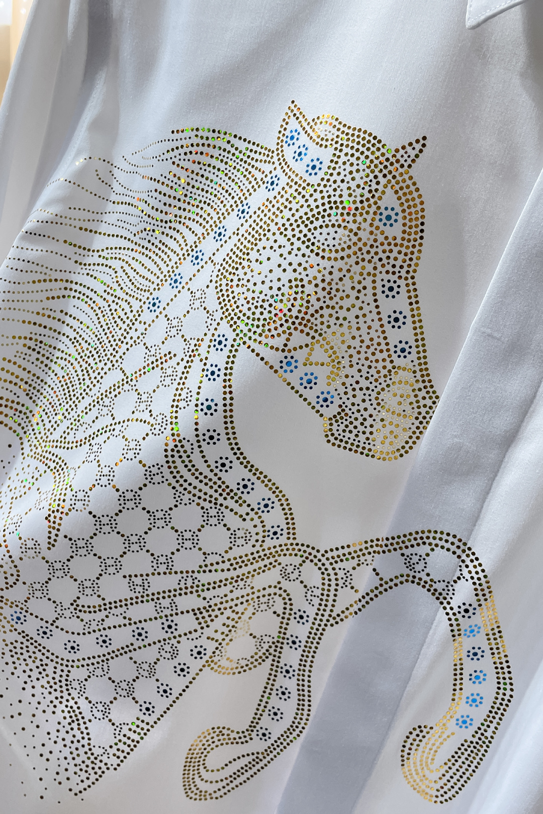 Hermès Shirt Cotton S-m