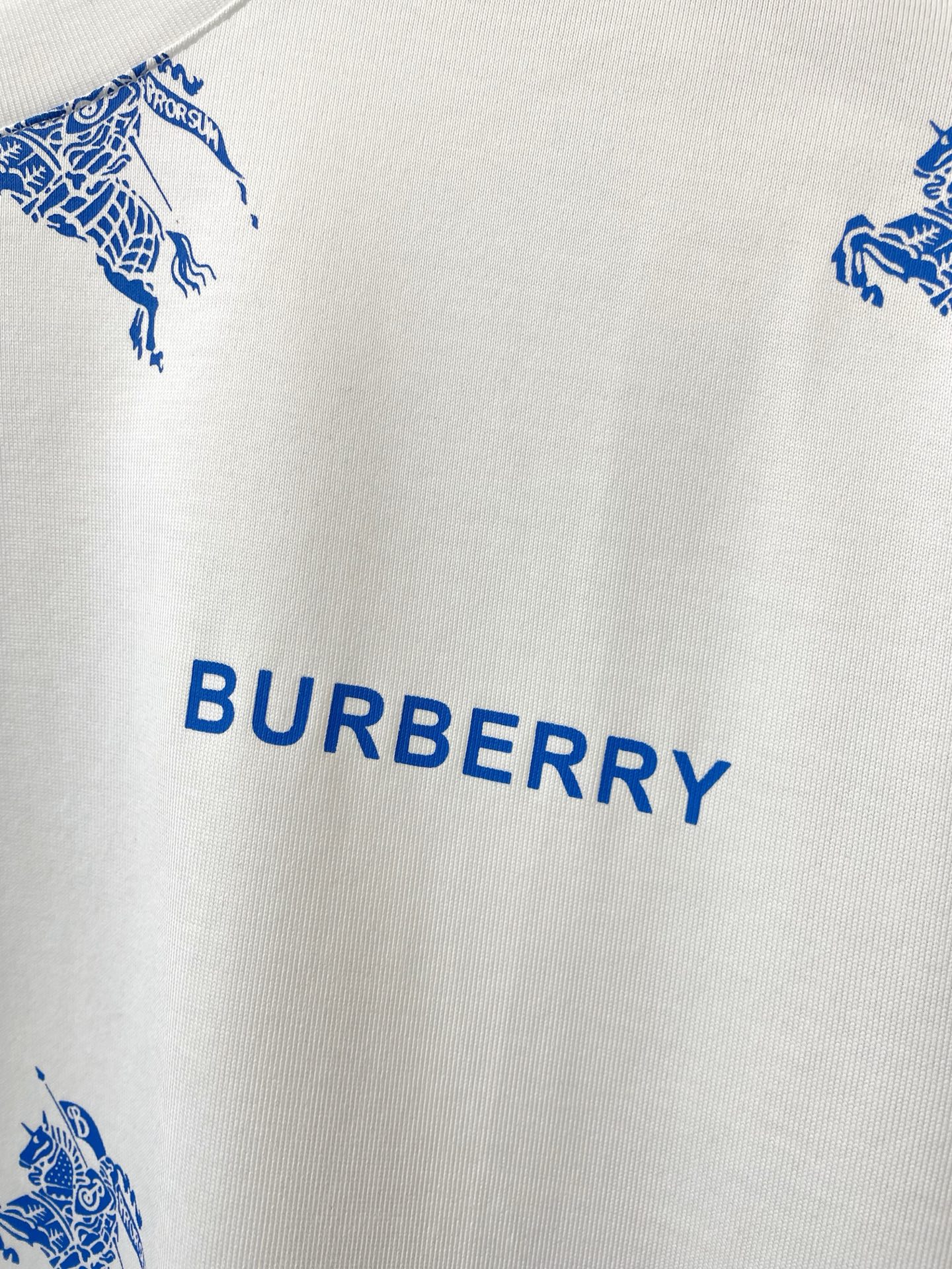 Burberry Male Basic Clothing S-xl