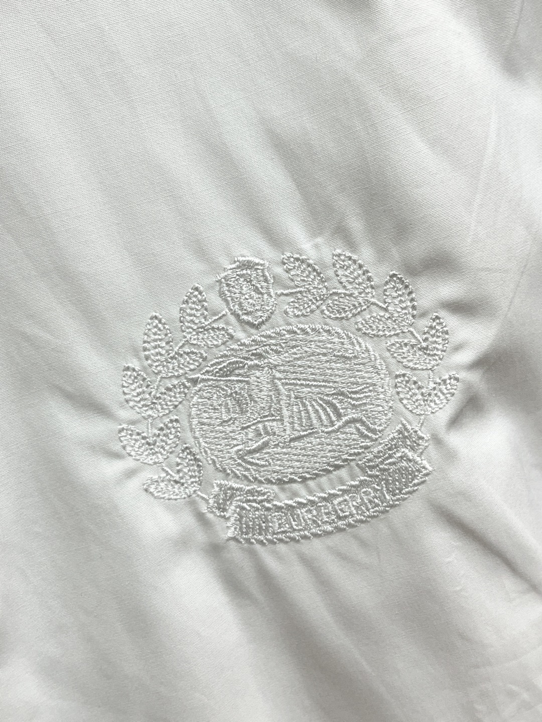 Burberry Male Shirt S-xl