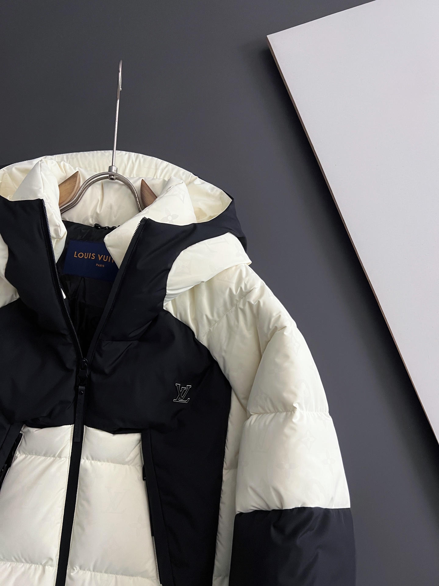 Louis Vuitton Male Down Jacket Goose Down S-m-l