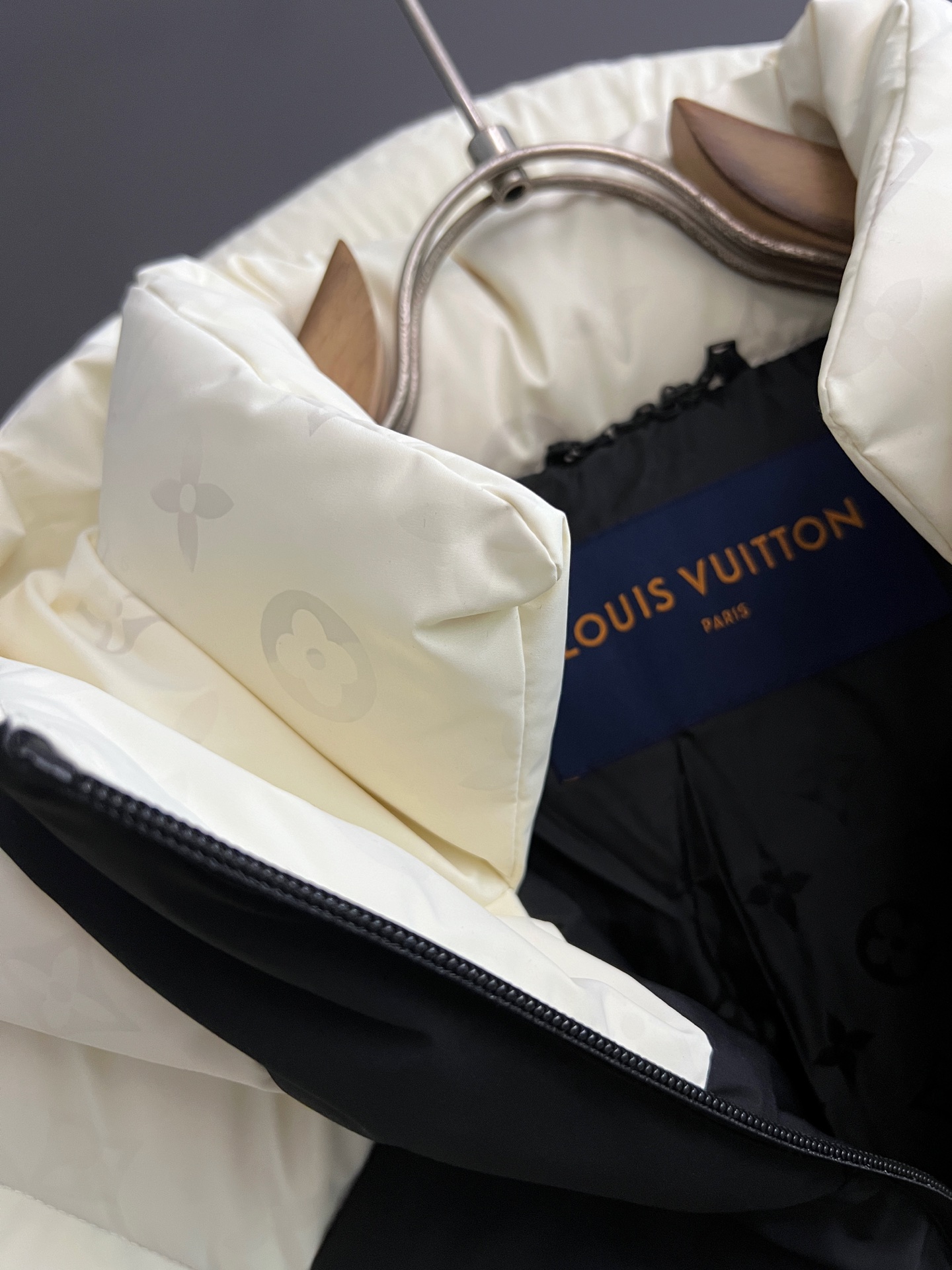 Louis Vuitton Male Down Jacket Goose Down S-m-l