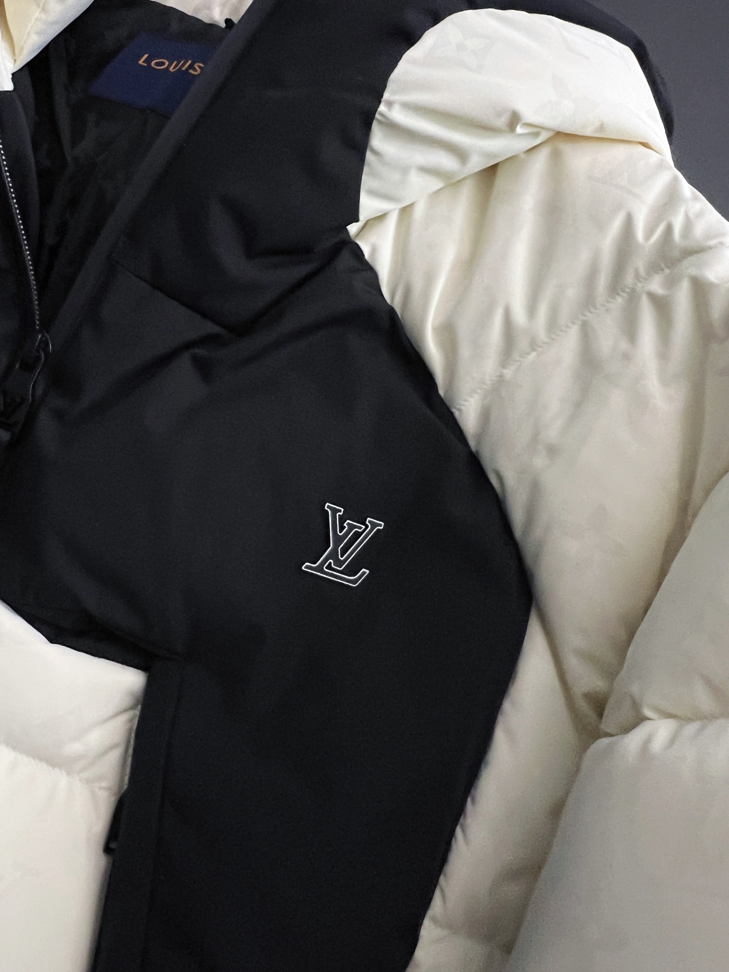 Louis Vuitton Male Down Jacket Goose Down S-m-l