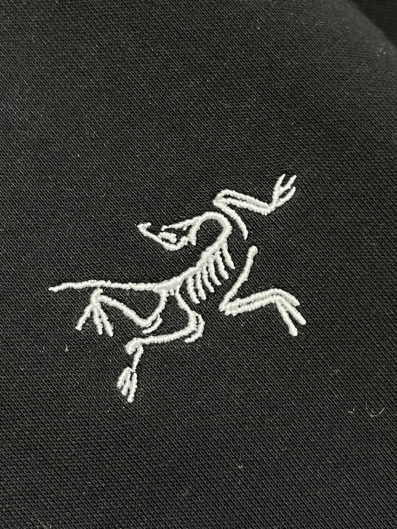 Arcteryx Hoodie Hooded S-xl