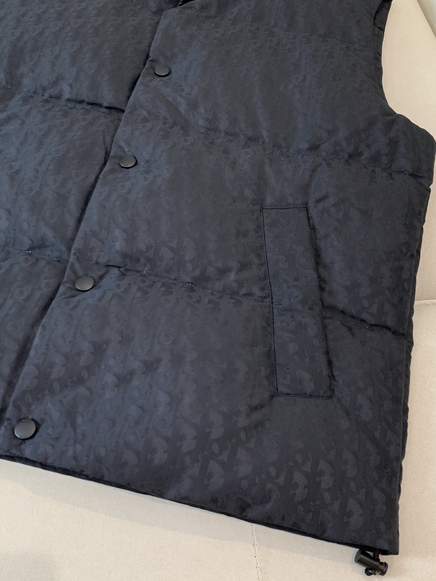 Dior Down Vest White Duck Down Black Printed S-l