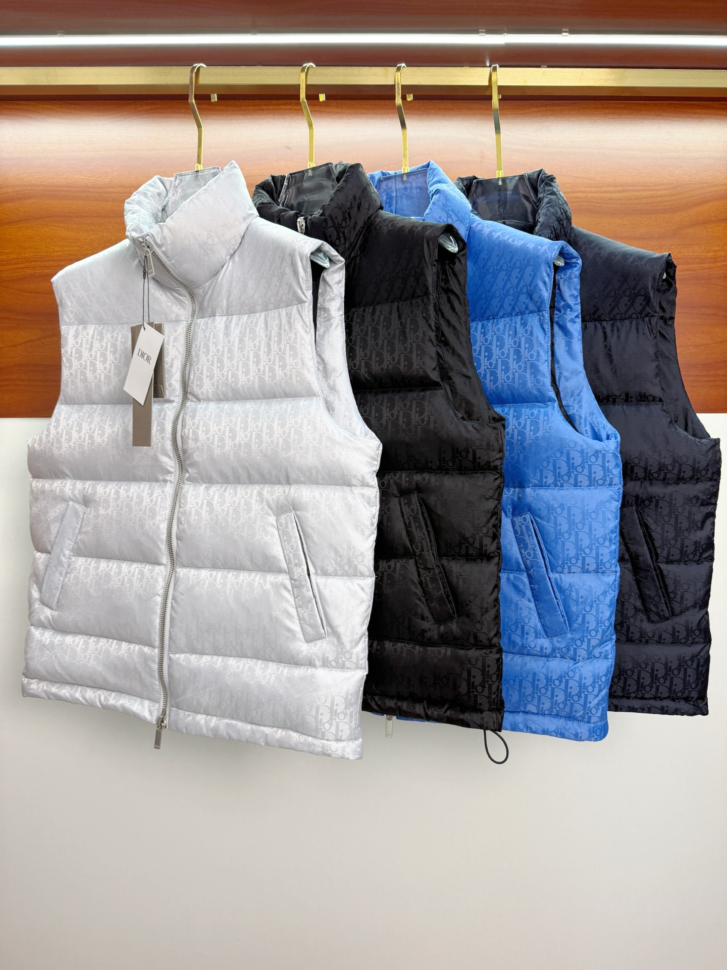 Dior Vest Goose Down Hooded