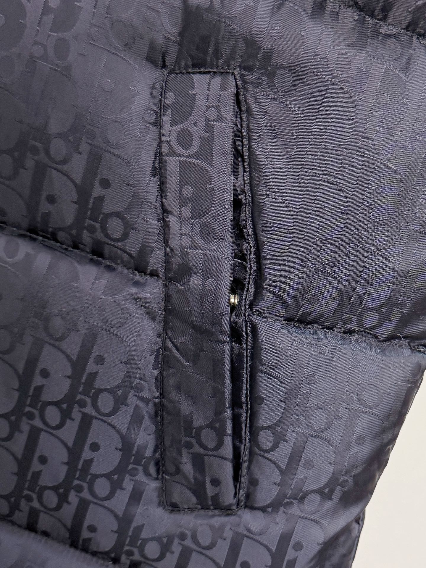 Dior Vest Goose Down Hooded