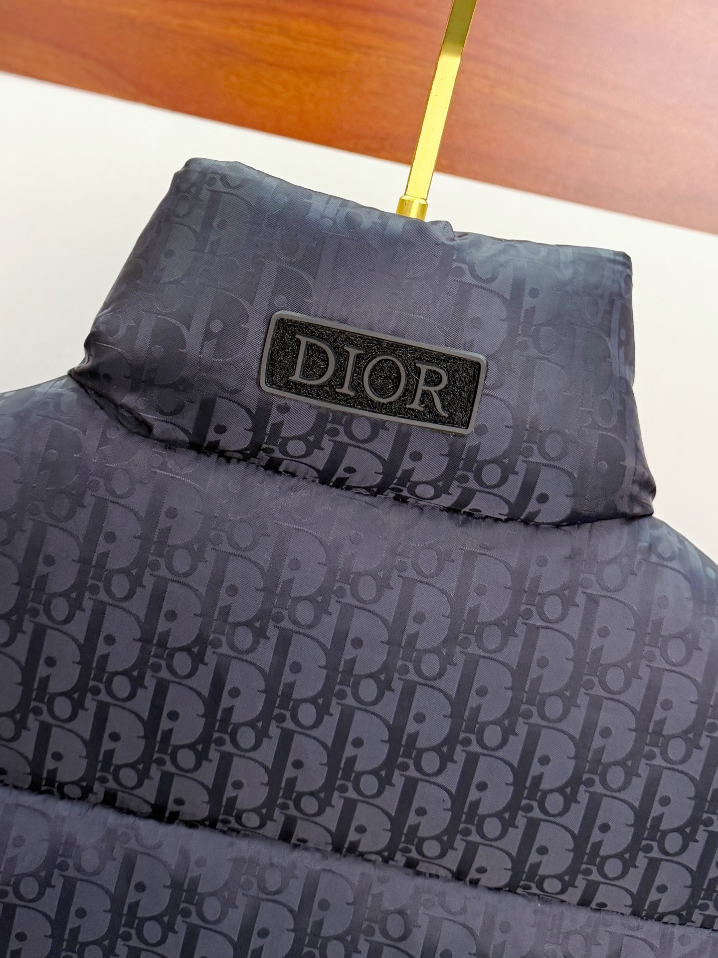 Dior Vest Goose Down Hooded