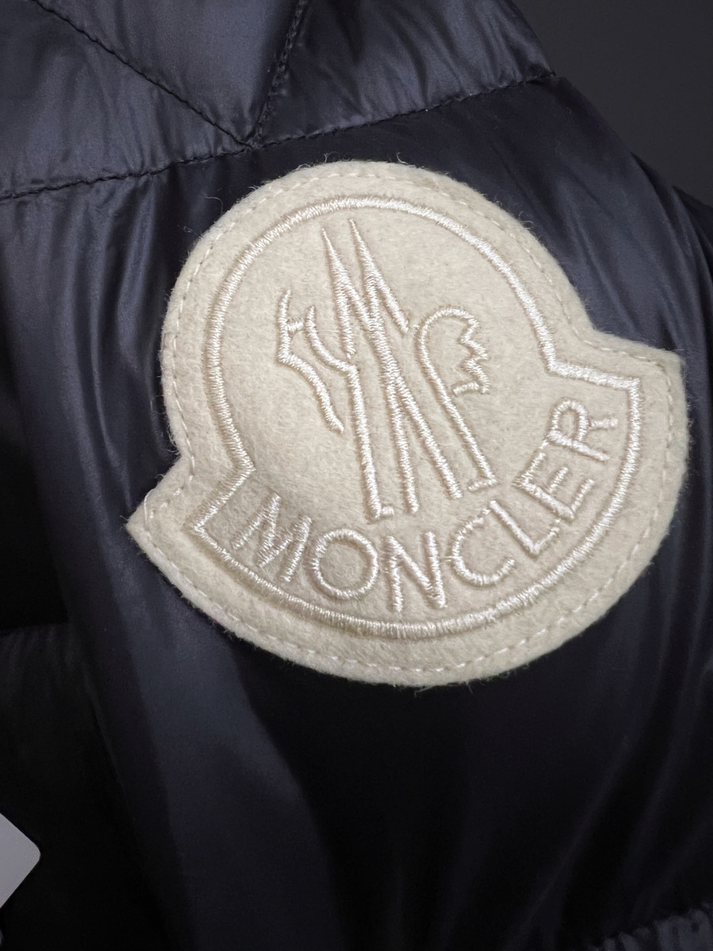 Moncler Male Down Jacket Goose Down M