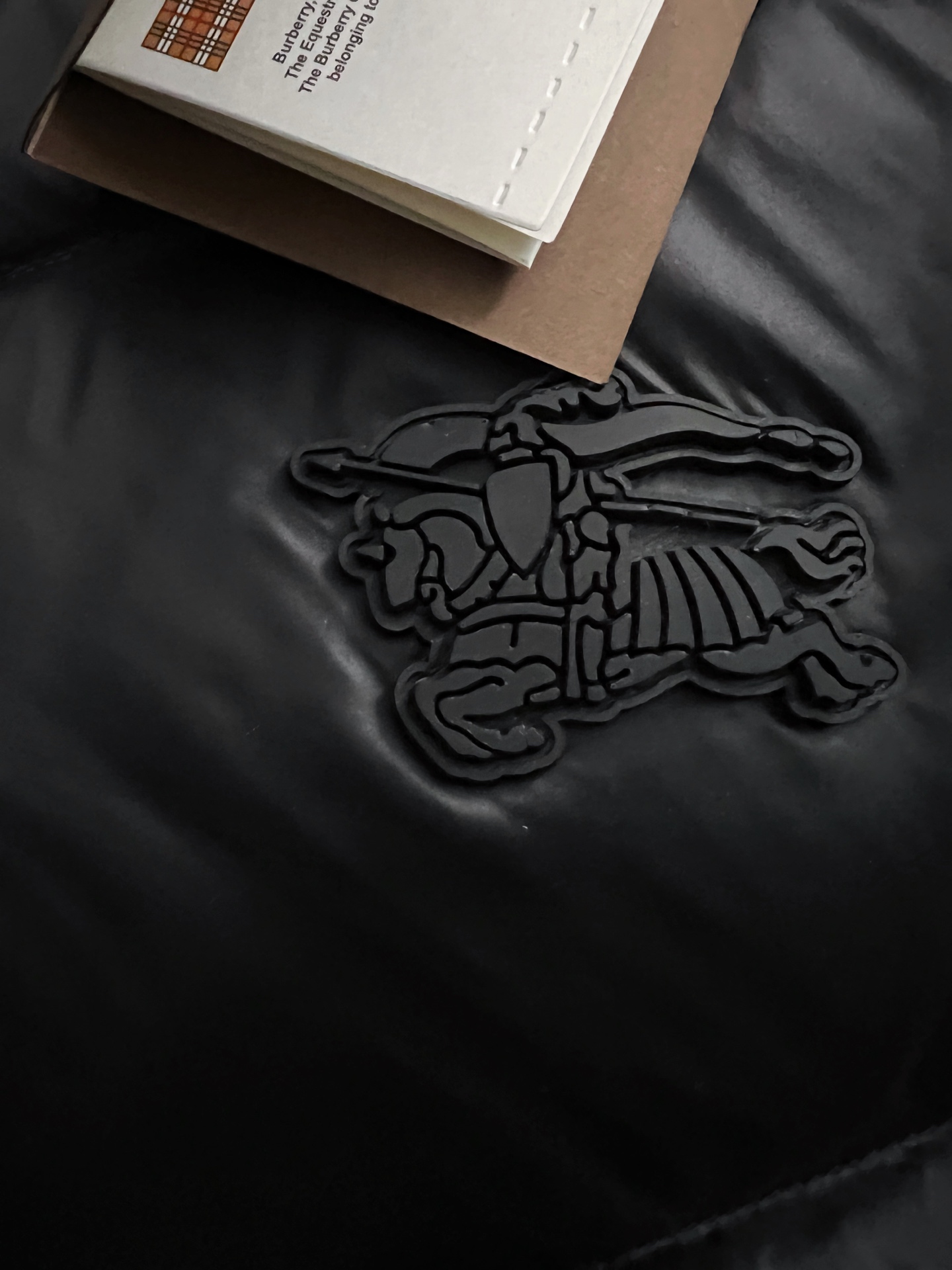 Burberry Down Jacket White Duck Down