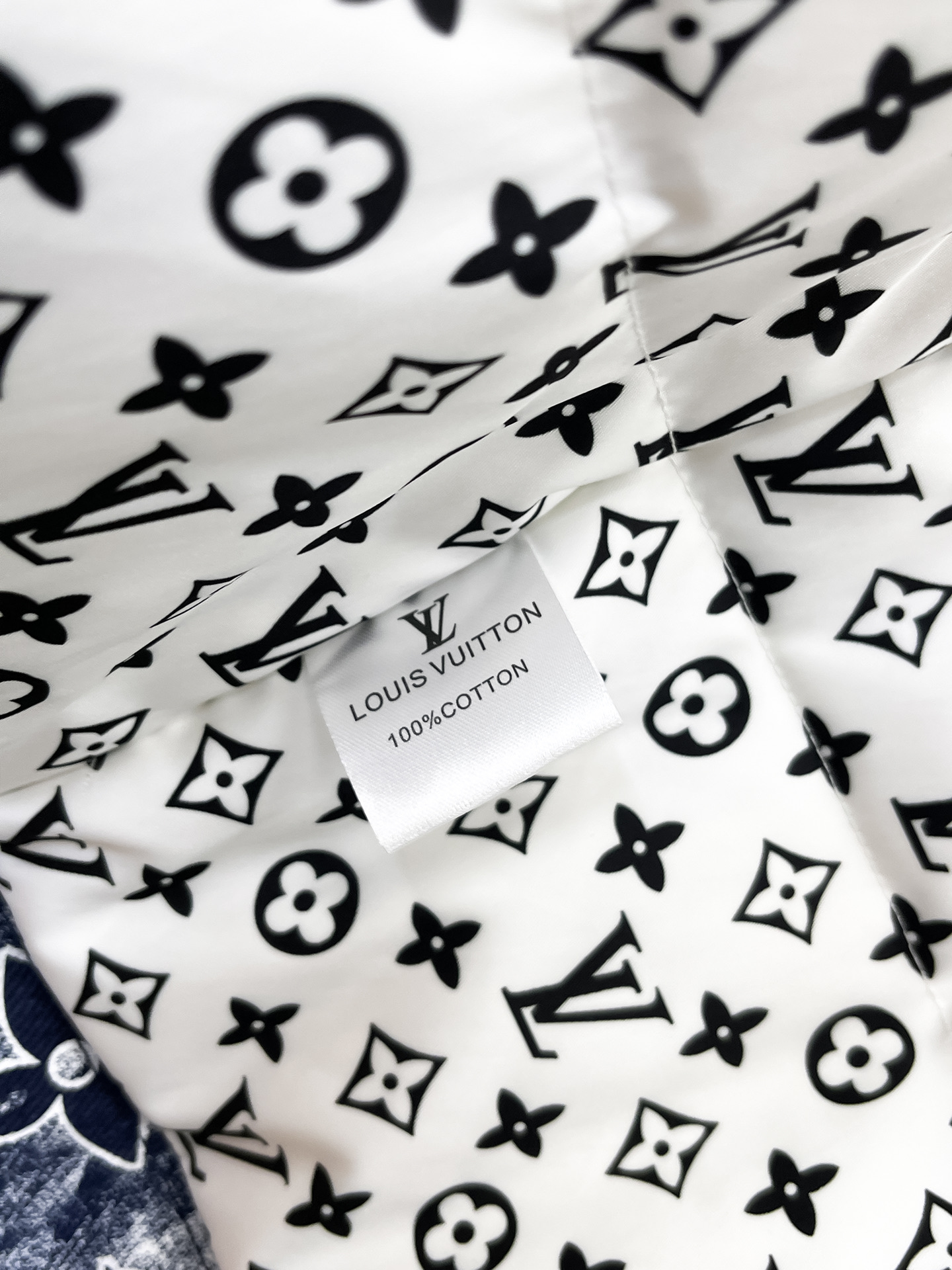 Louis Vuitton Down Jacket S-m-l-xl