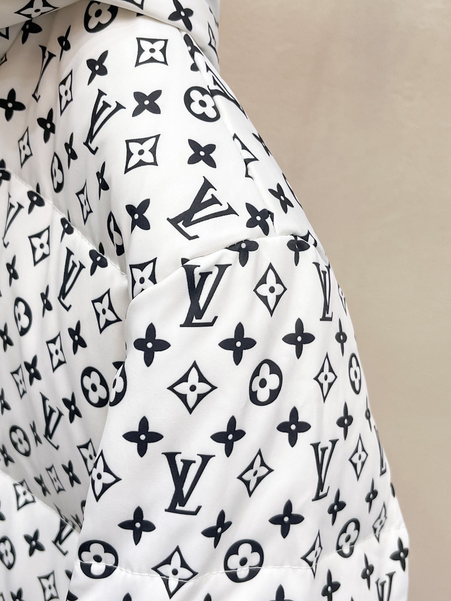 Louis Vuitton Down Jacket S-m-l-xl