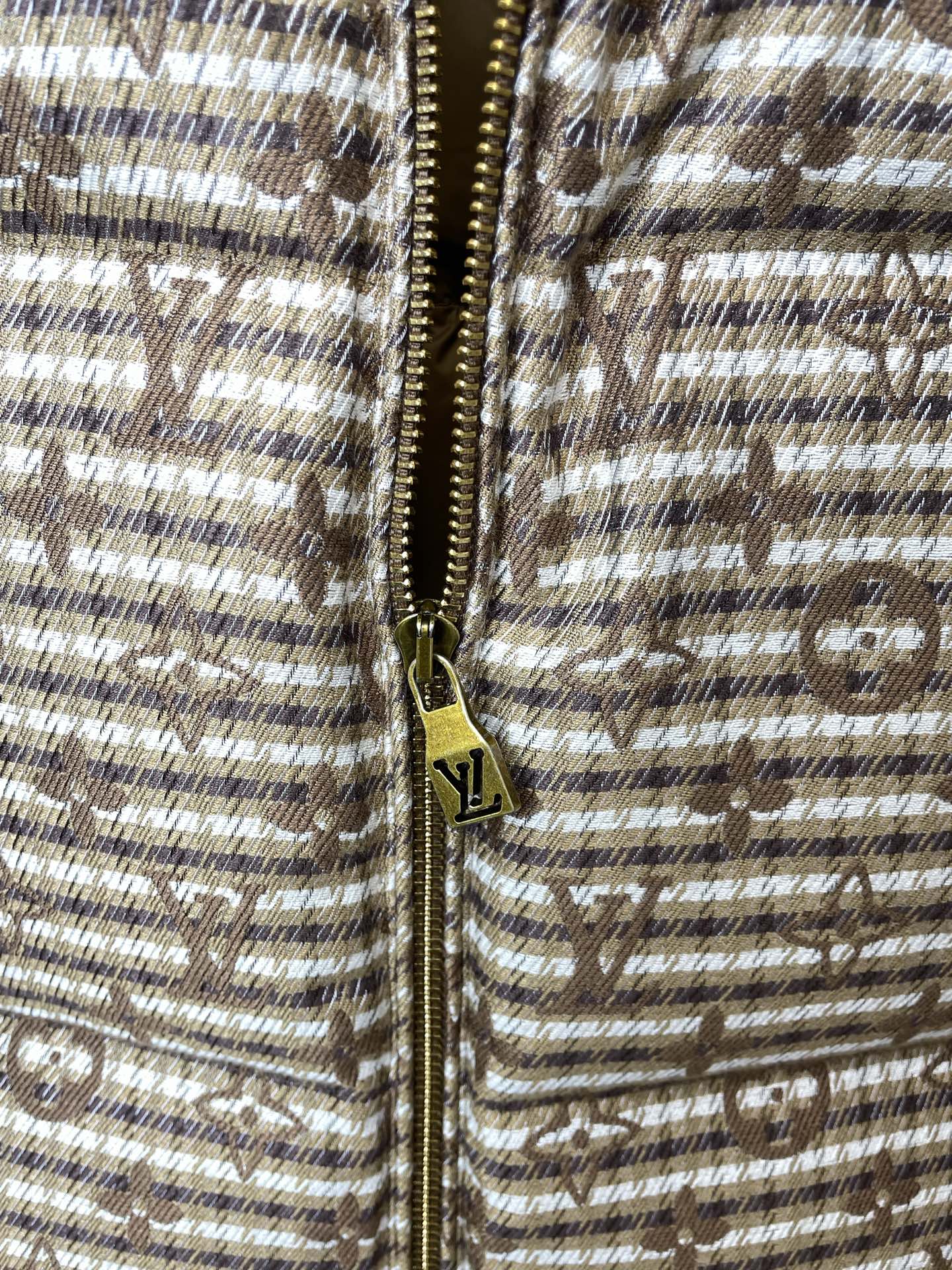 Louis Vuitton Down Jacket Hooded S-m-l-xl