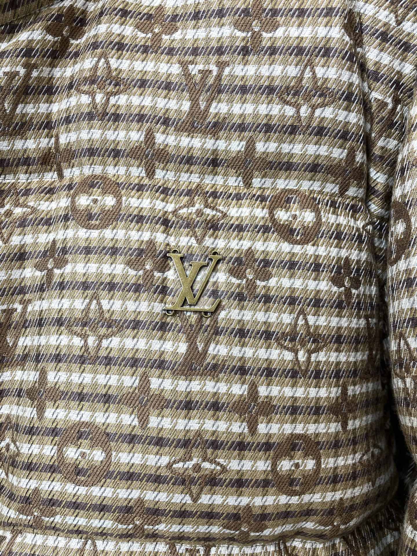 Louis Vuitton Down Jacket Hooded S-m-l-xl