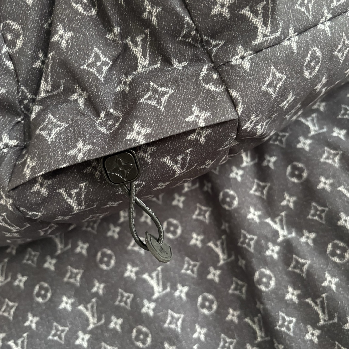 Louis Vuitton Female Down Jacket White Duck Down Hooded S-m-l